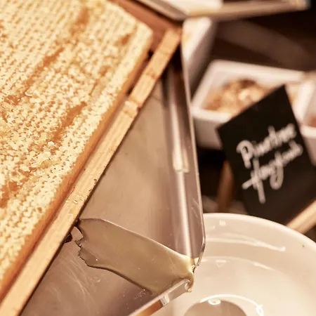 Antigon Urban Chic Hotel, فندق